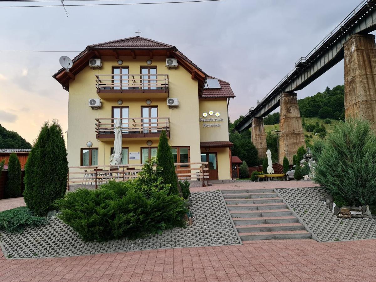 Pensiunea Narcisa Romuli Bagian luar foto