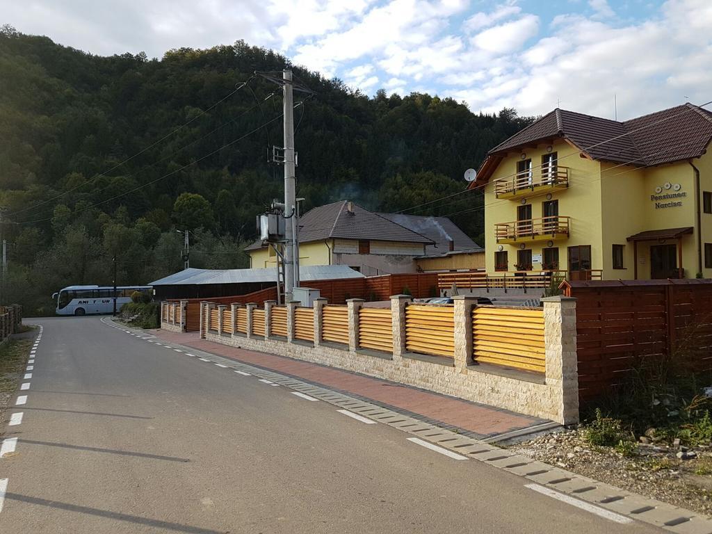 Pensiunea Narcisa Romuli Bagian luar foto