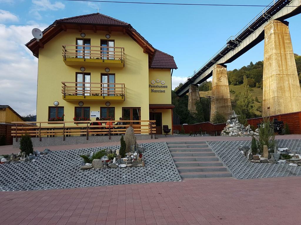 Pensiunea Narcisa Romuli Bagian luar foto
